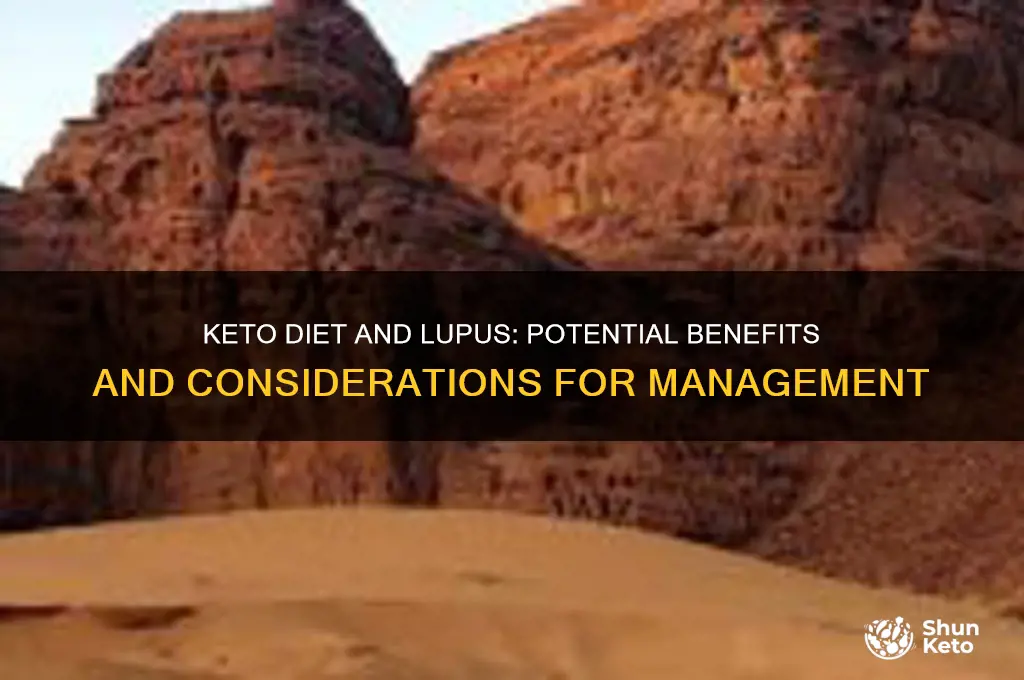 will a keto diet help lupus