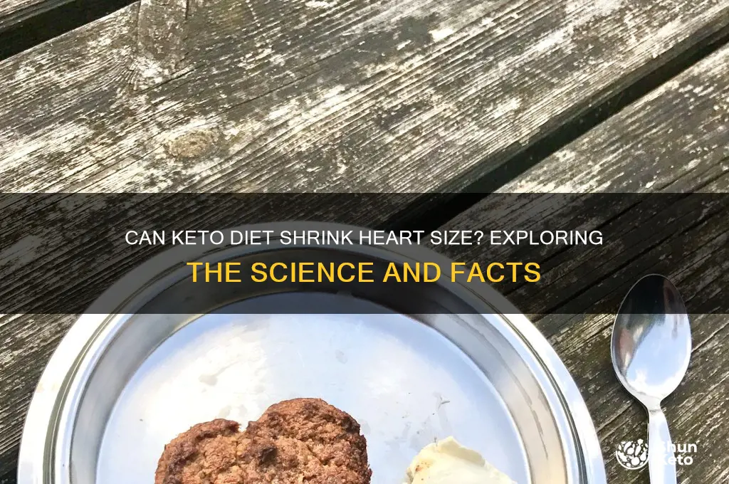 will a keto diet help shrink my heart