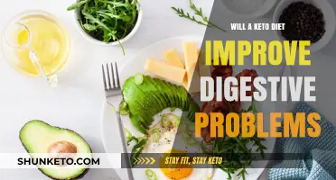 Can Keto Diet Ease Digestive Issues? Exploring the Gut-Health Connection