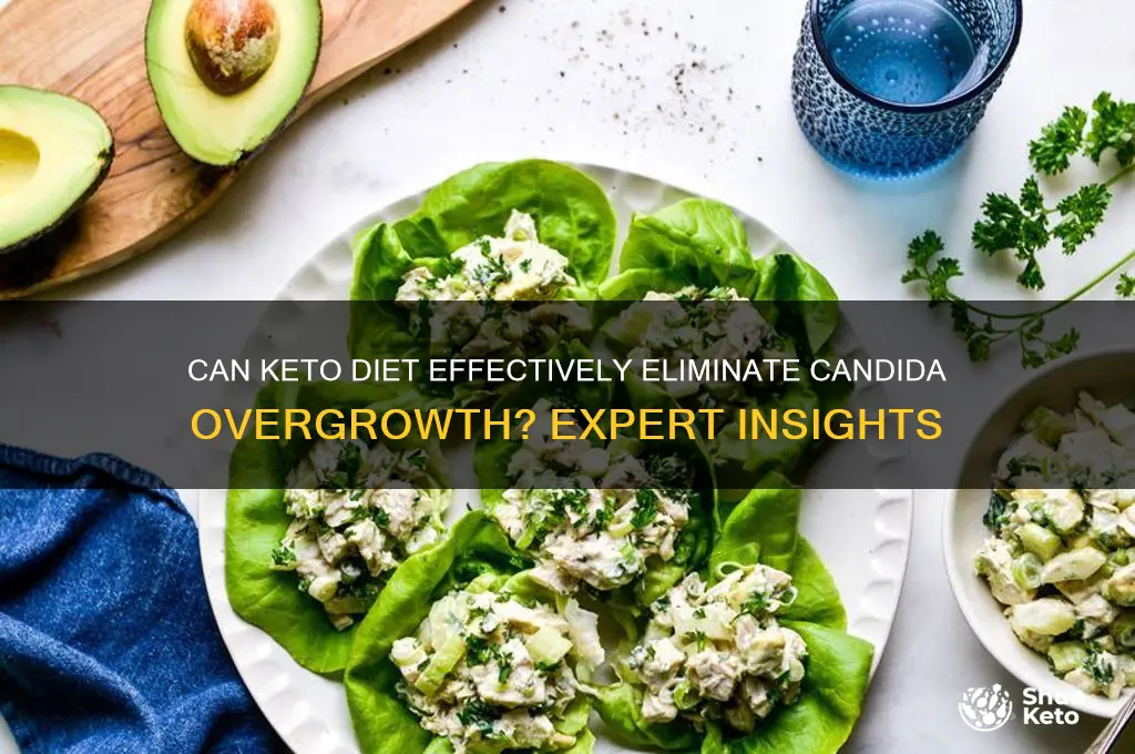 will a keto diet kill candida