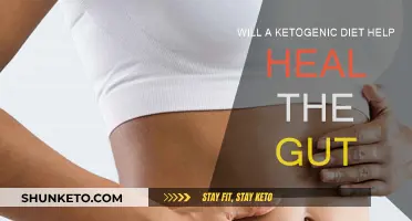 Heal Your Gut: The Ketogenic Diet Advantage