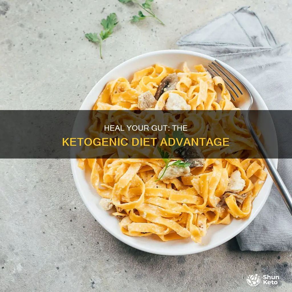 will a ketogenic diet help heal the gut