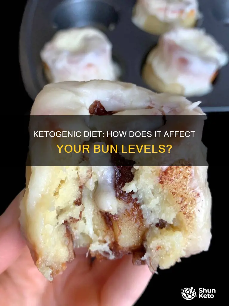 will a ketogenic diet increase bun