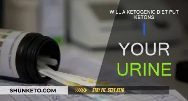 Ketogenic Diet: Ketones in Urine?