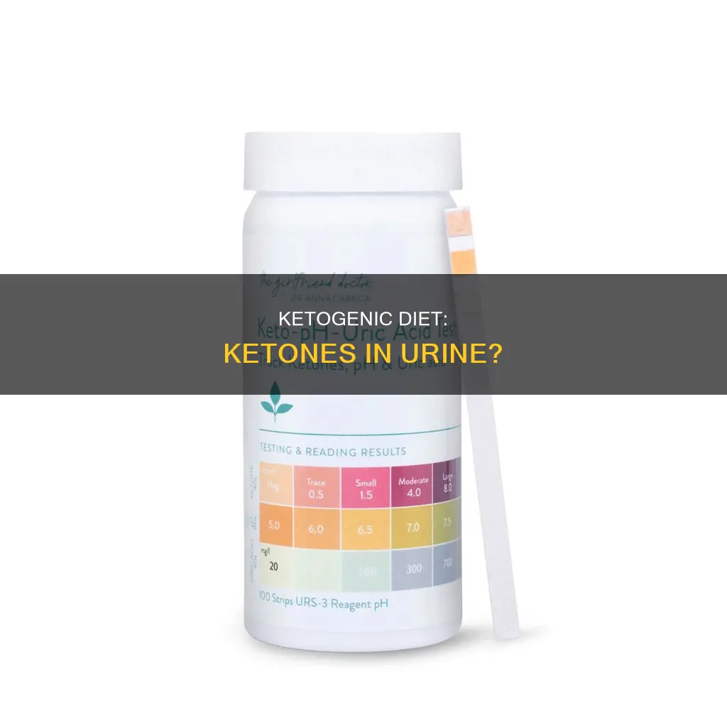 will a ketogenic diet put ketons i your urine