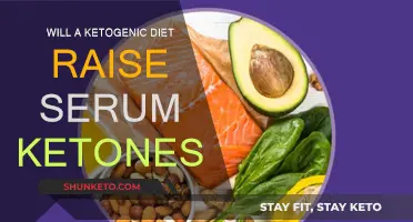 Ketogenic Diet: Do Ketone Levels Increase?