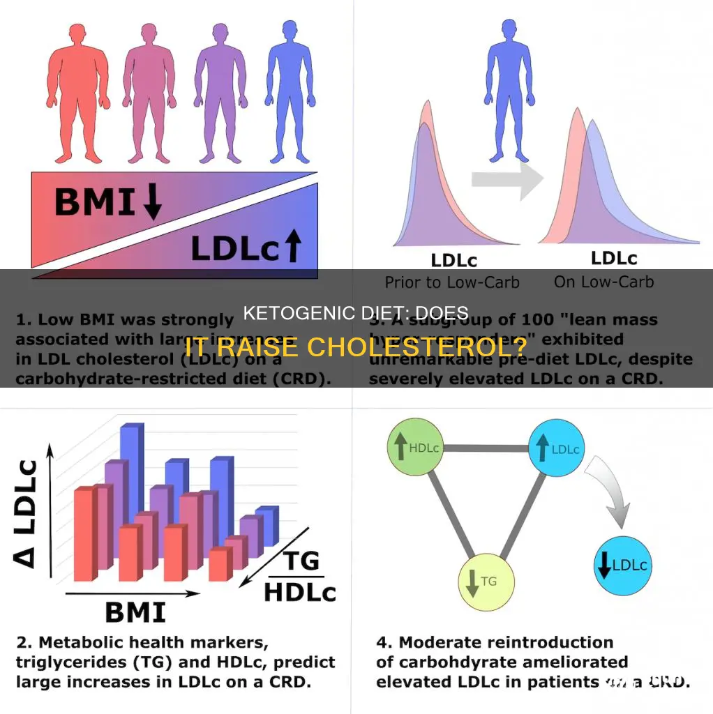 will a ketogenic diet raise your cholesterol