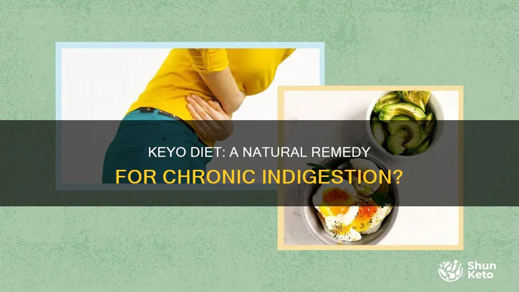 will a keyo diet stop chronic indigestion