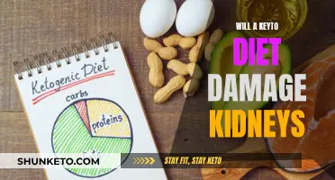 Keyto Diet and Kidney Health: Unveiling the Risks