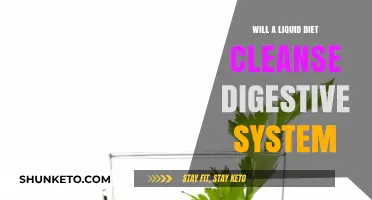 Liquid Diet: Cleanse Your Digestive System?