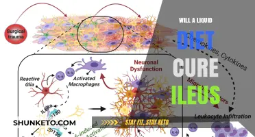 Liquid Diets: A Cure for Ileus?