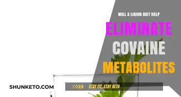 Liquid Diet: The Best Way to Flush Cocaine Metabolites?