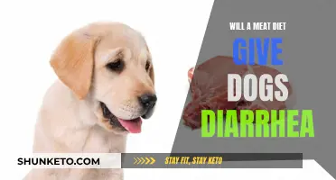Meat Diets: Are They Causing Diarrhea in Dogs?
