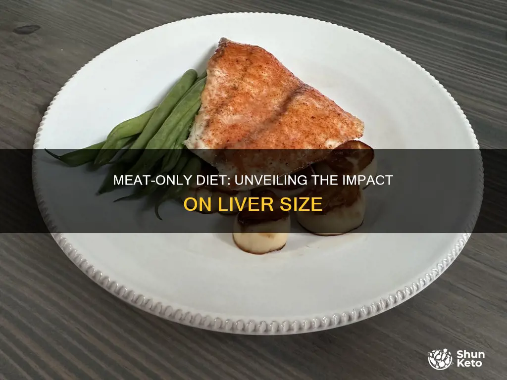 will a meat only diet shrink liver