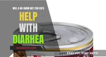 Grain-Free Diets: A Solution for Cats' Diarrhea?