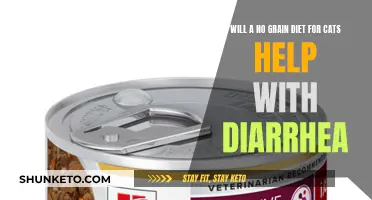 Grain-Free Diets: A Solution to Feline Diarrhea?
