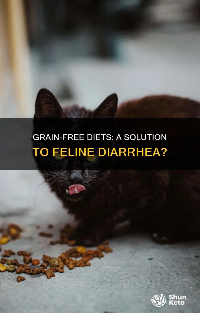 will a no grain diet for cats help with diarrhea