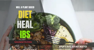 Healing IBS: Can a Plant-Based Diet Help?