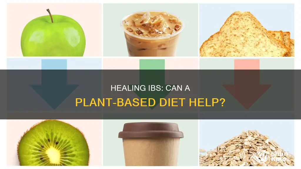 will a plant based diet heal ibs