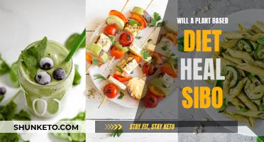 Healing SIBO: Can a Plant-Based Diet Help?