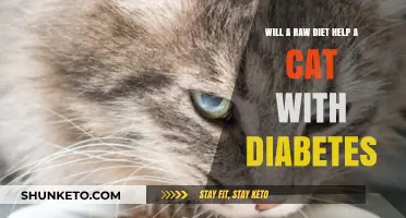 Raw Diet: A Cure for Feline Diabetes?