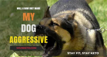 Raw Diets: Do They Make Dogs More Aggressive?