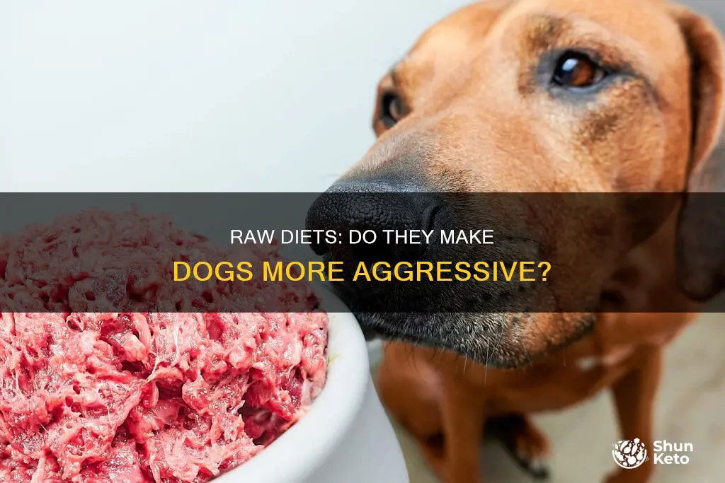will a raw diet make my dog aggressive