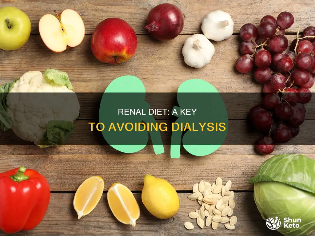 will a renal diet keep you off dialysis