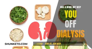Renal Diet: Delay Dialysis, Embrace Healthy Eating