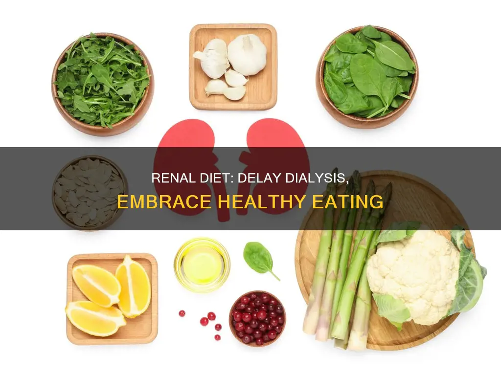 will a renal diet keep you off dialysis