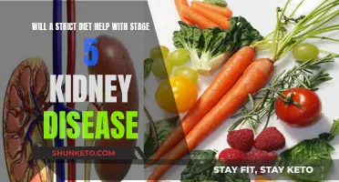 Dieting for Stage 5 Kidney Disease: What Helps?
