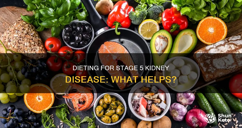 will a strict diet help with stage 5 kidney disease
