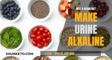 Vegan Diets: Alkaline Urine Myth or Reality?