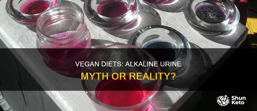 will a vegan diet make urine alkaline