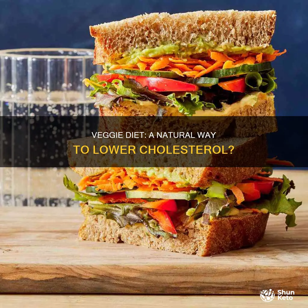 will a vegetable diet help cut back cholesterol meds
