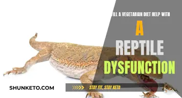 Vegetarian Diet: Solution to Reptile Dysfunction?