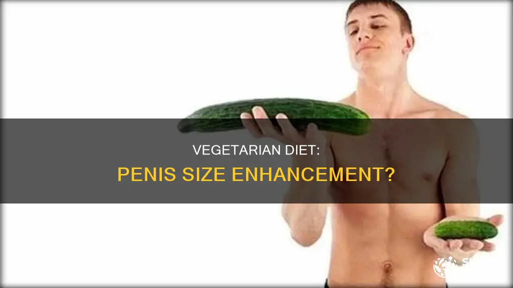 will a vegetarian diet increase penis size