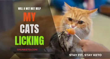 Wet Food: A Solution to Your Cat's Compulsive Licking?