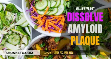 WFPB Diet: A Solution to Amyloid Plaque?