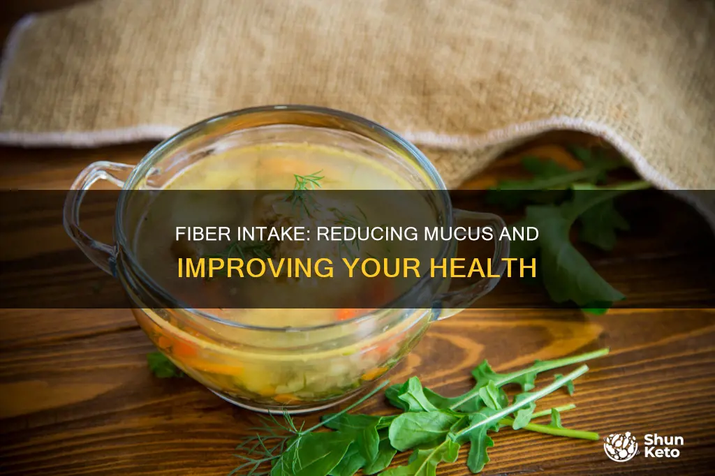 will adding fiber to my diet help mucus