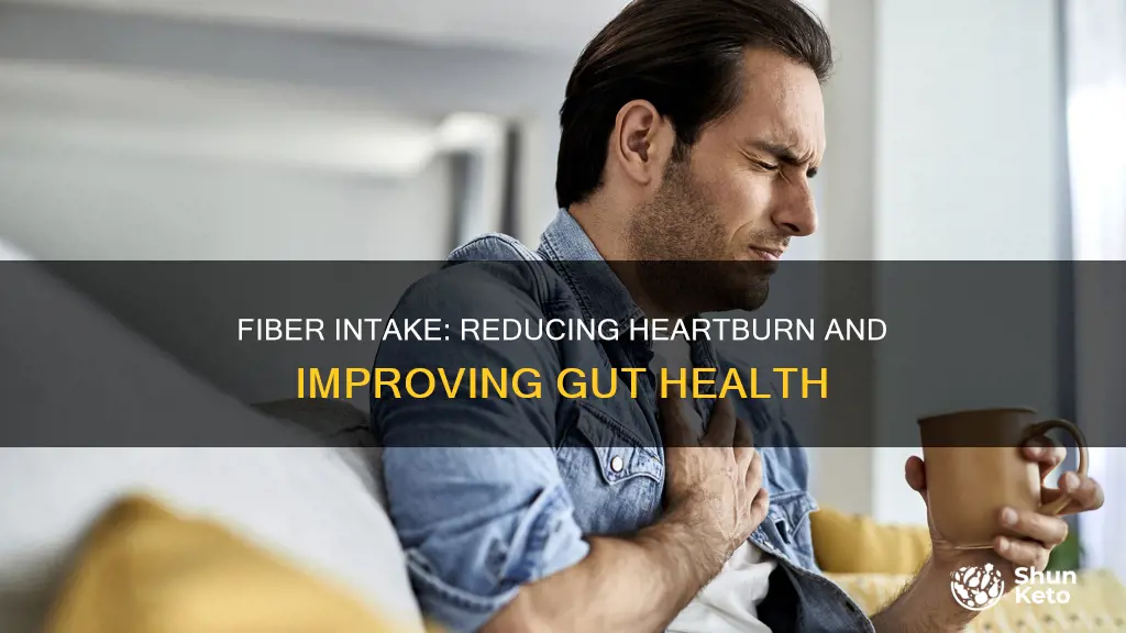 will adding fiber to my diet help reduce heartburn