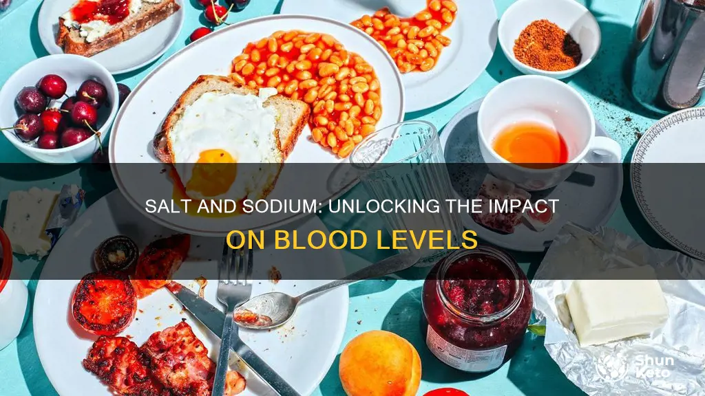 will adding salt to diet increase blood sodium levels