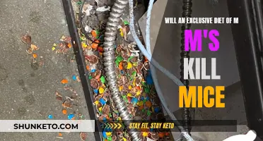 The Sweetest Poison: Can M&M's Kill Mice?