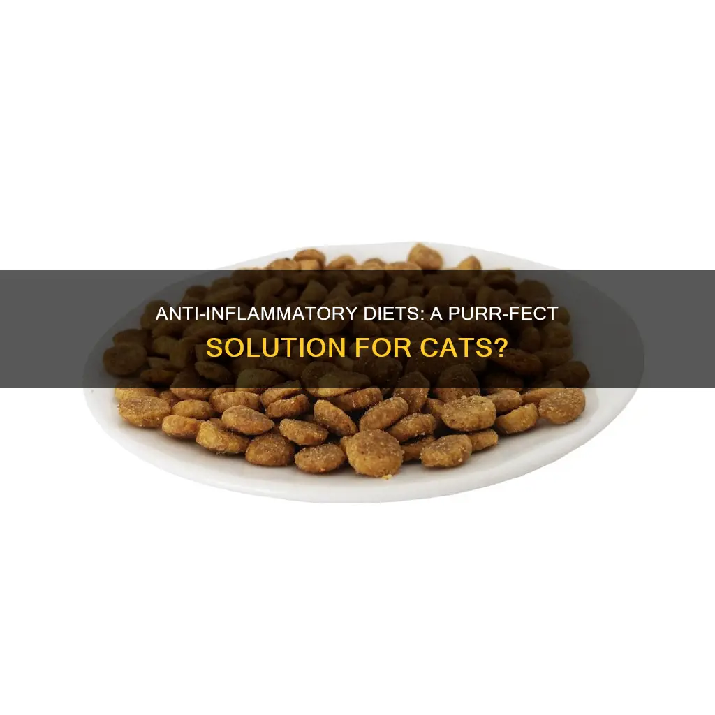 will anti inflamatory diet help cats