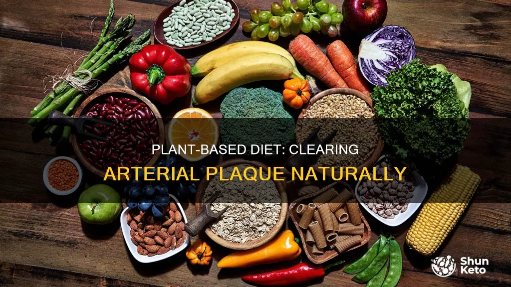 will arteroes clear with plant based diet