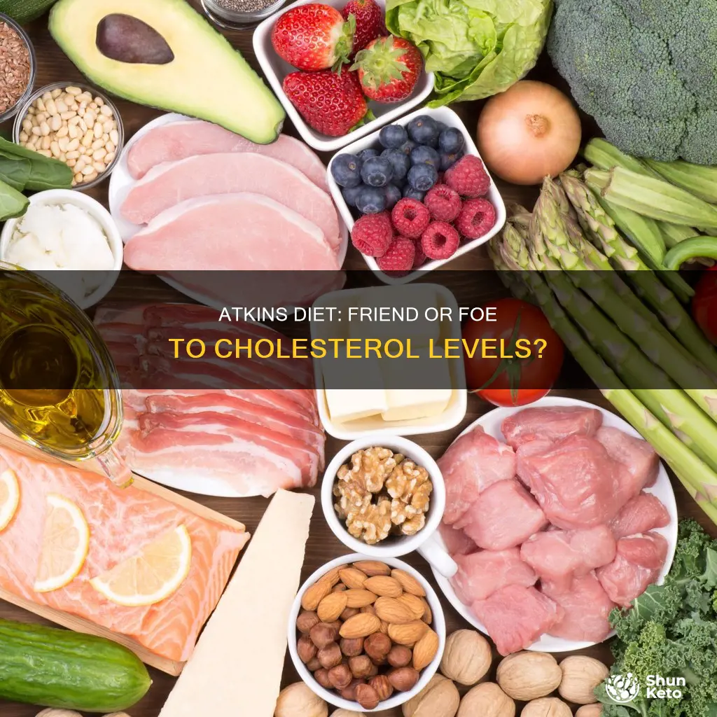 will atkins diet raise cholesterol