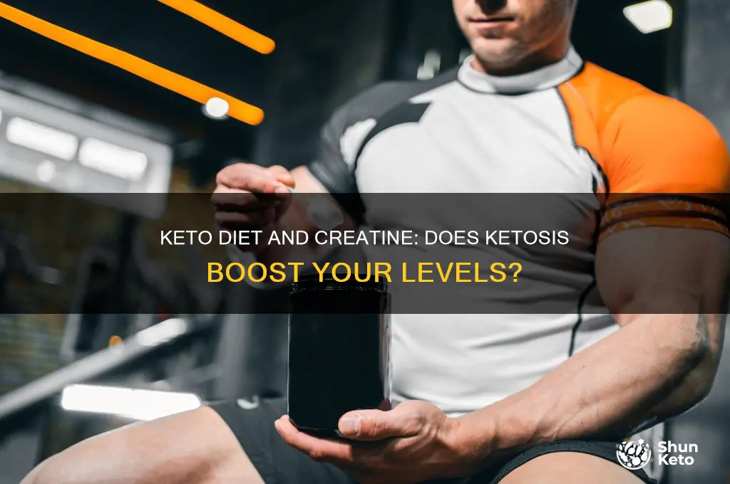 will being on a keto diet increase my creatine levels
