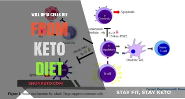 Keto Diet and Beta Cell Health: Debunking the Death Myth