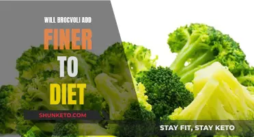 Broccoli: Superfood to Add Flavor and Nutrition to Your Diet