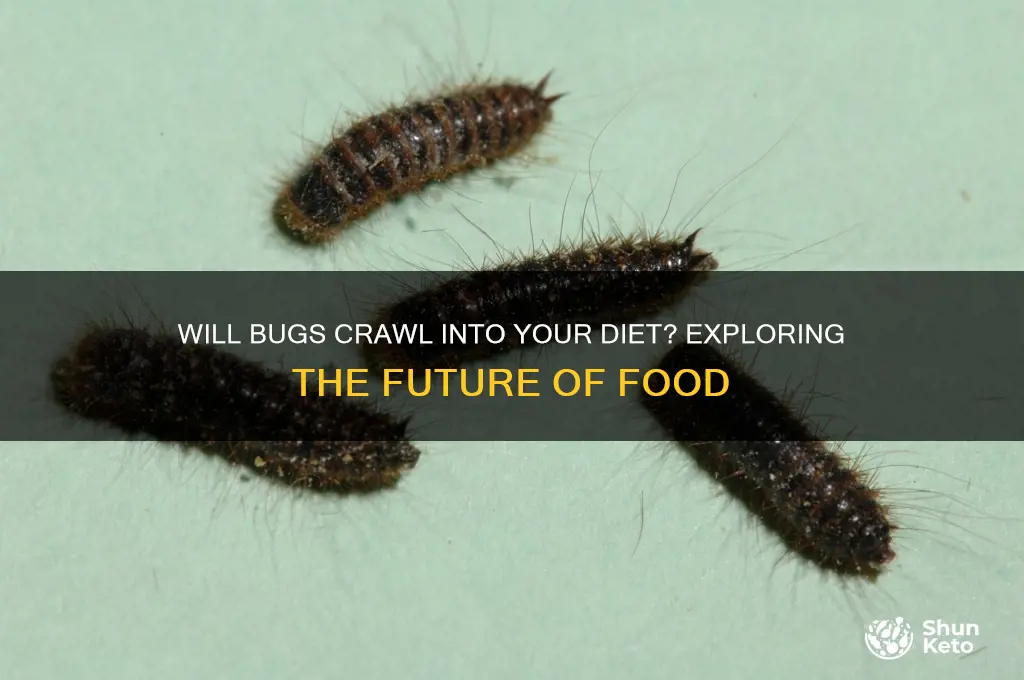 will bugs crawl diet